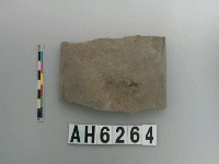 藏品(大型磨製石斧)的圖片